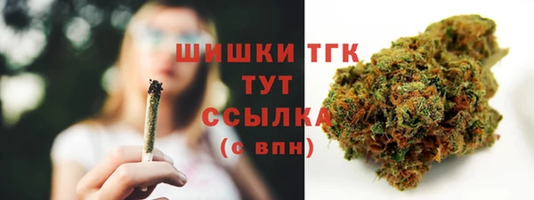 тгк Няндома