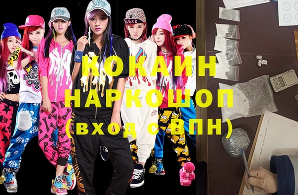 шишки Бородино