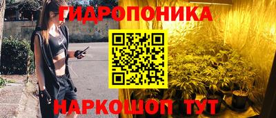 прущие крисы Абакан