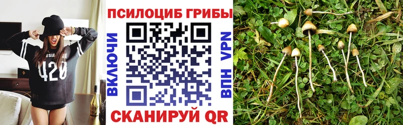где купить наркоту  Клин  Галлюциногенные грибы мицелий 