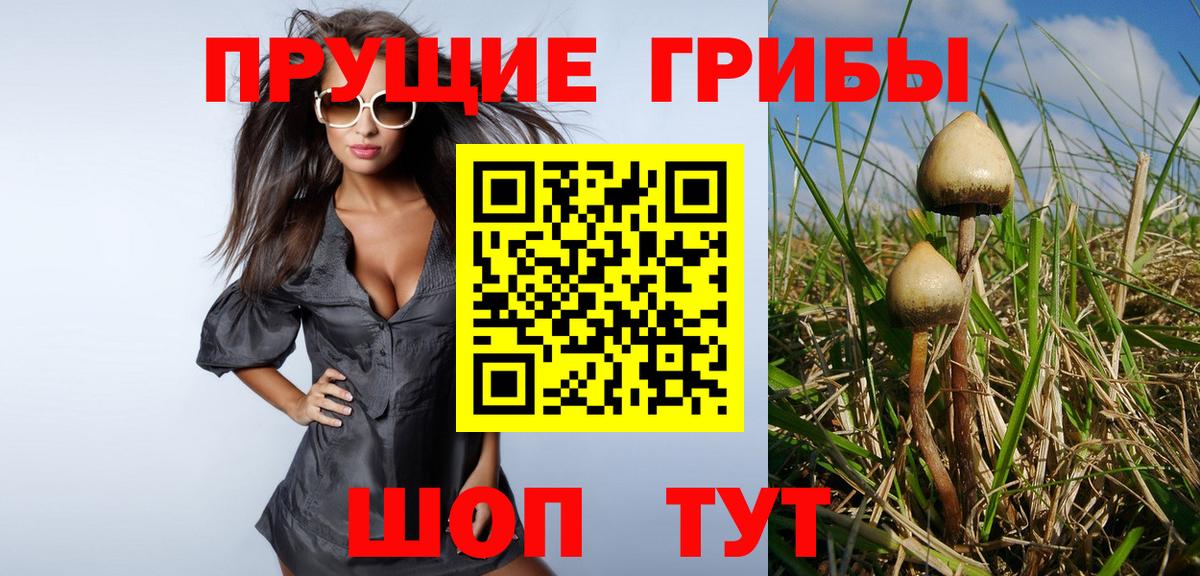 Псилоцибиновые грибы прущие грибы Клин