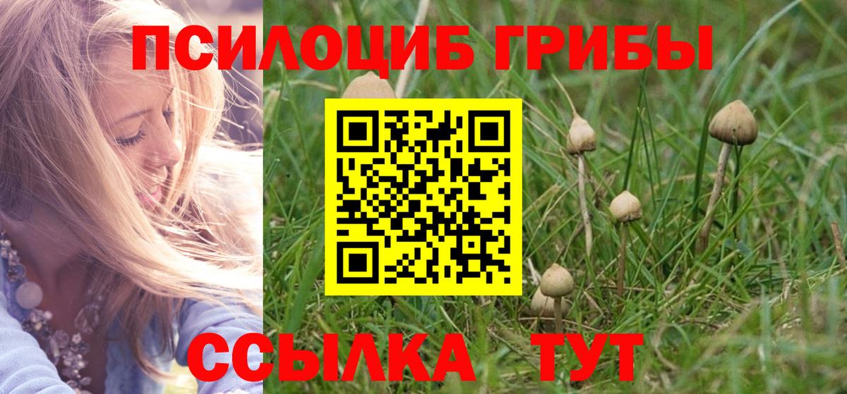 Псилоцибиновые грибы прущие грибы Клин