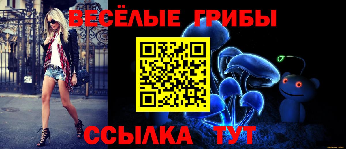 Клин  Галлюциногенные грибы MAGIC MUSHROOMS  Вход с VPN 