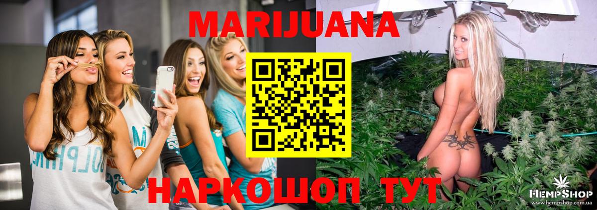 МАРИХУАНА планчик  Клин  Канабис OG Kush  Конопля SATIVA & INDICA 